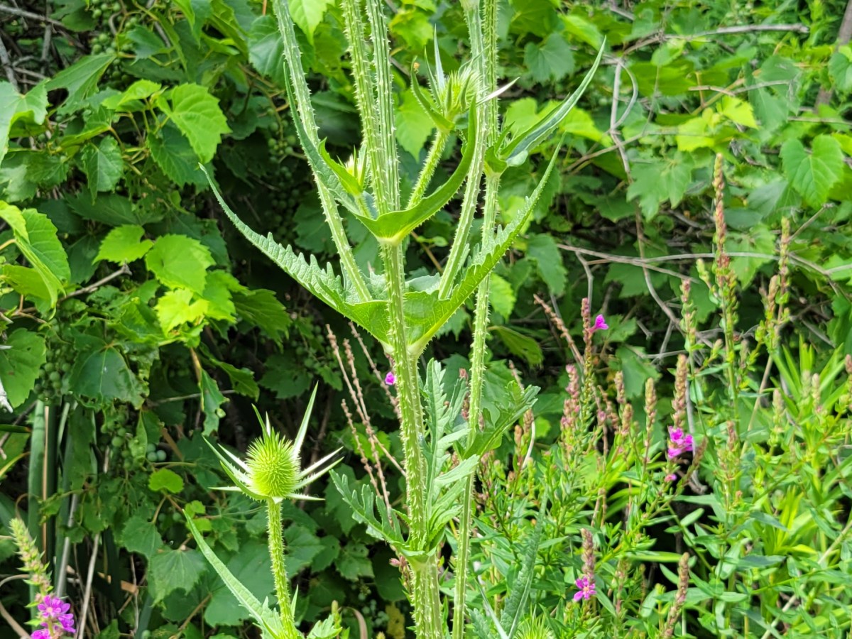 August 2022 Sightings