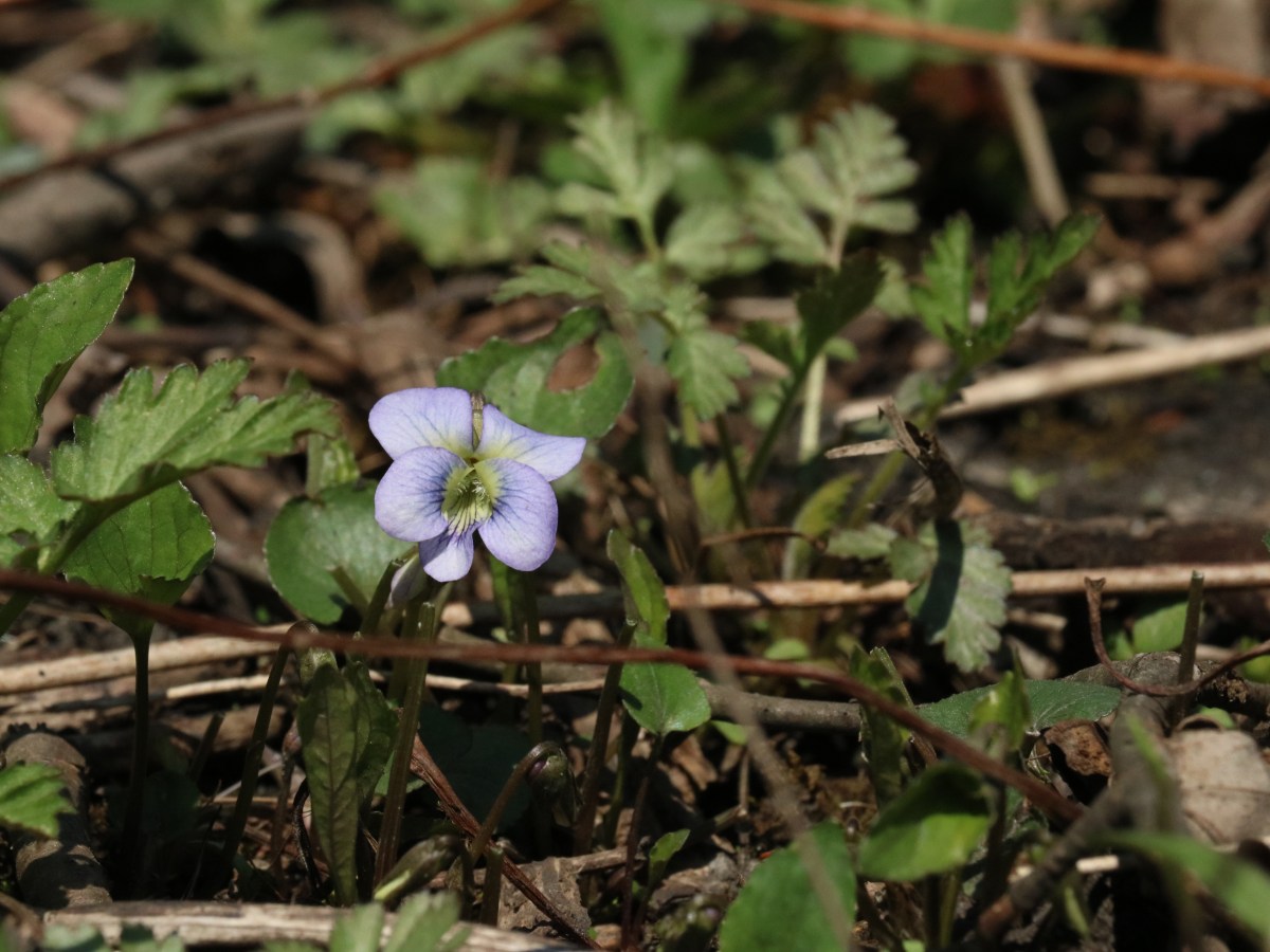 Spring 2023 Sightings and&nbsp;Happenings