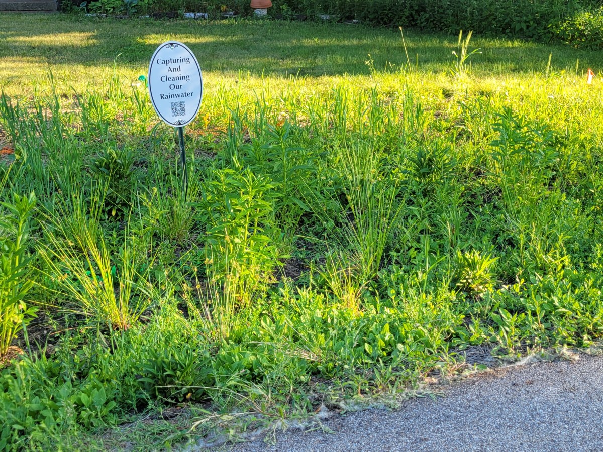 Capture Your Raindrops