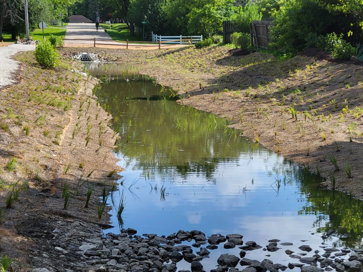 Stormwater Best Practice in&nbsp;Action